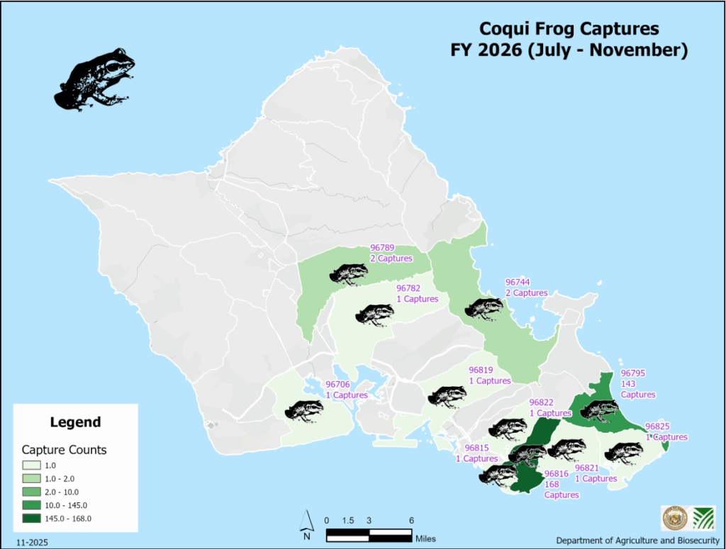 Hawaiʻi Launches New Online Data Portal About Invasive Species – Honolulu Civil Beat
